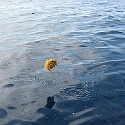 Picture 022